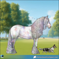 Horse Color:Nacre White Spotted Chocolate Silver Brown Chinchilla Onyx Rabicano