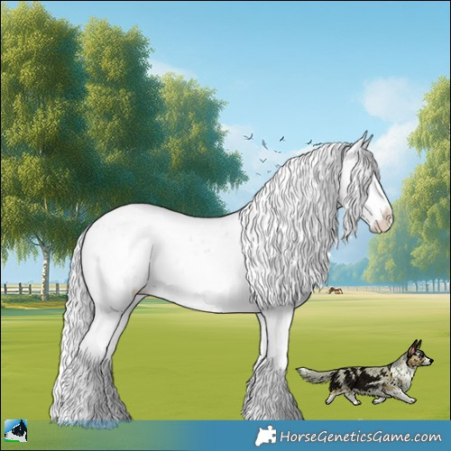 Horse Color:Silver Brown Chinchilla Ice Onyx Sabino Rabicano