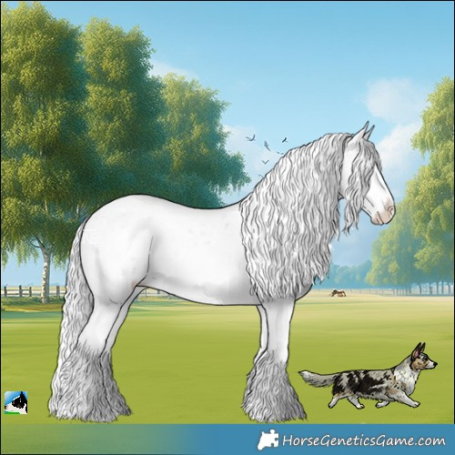 Horse Color:Silver Brown Chinchilla Ice Onyx Sabino Rabicano 