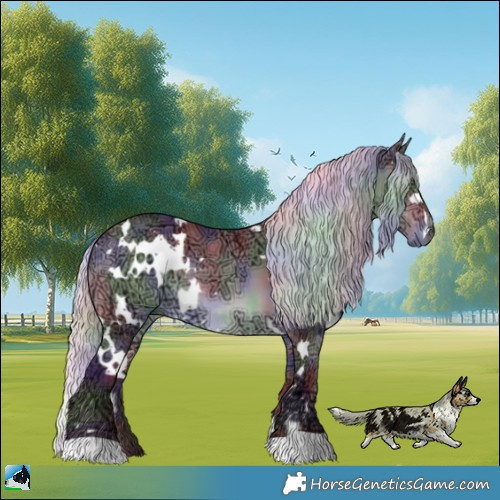 Horse Color:Nacre White Spotted Chocolate Silver Brown Chinchilla Ice Rabicano