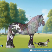 Horse Color:Nacre White Spotted Chocolate Silver Brown Chinchilla Ice Rabicano 