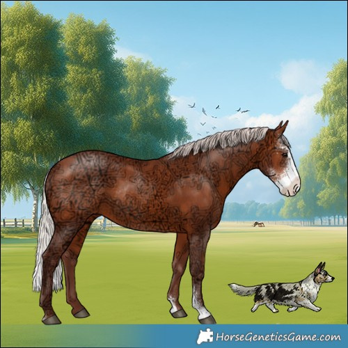 Horse Color:Chocolate Silver Brown Ice Sabino Rabicano