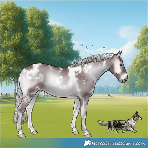 Horse Color:White Spotted Chocolate Silver Blue Onyx Chinchilla 