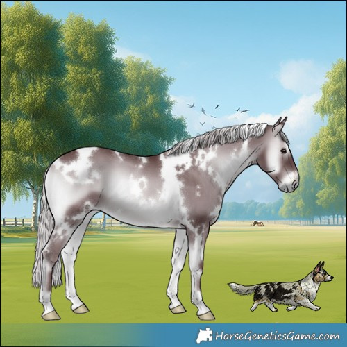 Horse Color:White Spotted Chocolate Silver Blue Onyx Chinchilla 