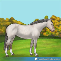Horse Color:Liver Red Dun Roan Tobiano Varnish Rabicano