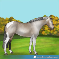 Horse Color:Gray Bay Dun Tobiano Varnish Rabicano