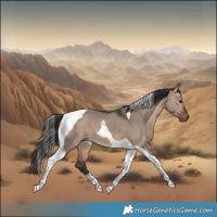 Horse Color:Brown Dun Tobiano 
