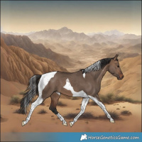 Horse Color:Brown Dun Tobiano 