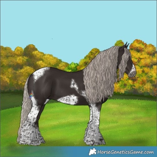 Horse Color:Gray Silver Black Tobiano Frame 