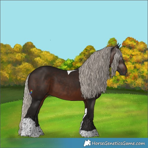 Horse Color:Gray Silver Brown Tobiano 