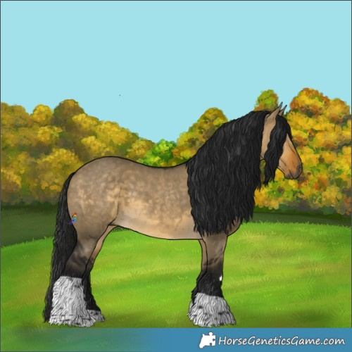 Horse Color:Gray Buckskin Dun Tobiano 