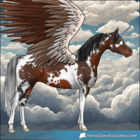 Horse Color:White Spotted Brown Tobiano