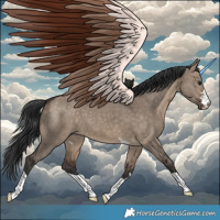 Horse Color:Brown Dun