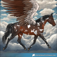 Horse Color:White Spotted Brown 