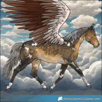 Horse Color:White Spotted Silver Buckskin Tobiano 