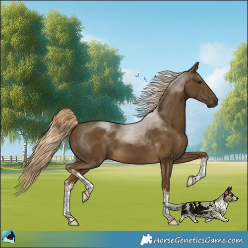 Horse Color:White Spotted Chocolate Palomino Mushroom Tobiano 