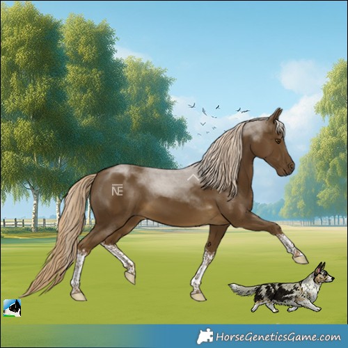 Horse Color:White Spotted Chocolate Palomino Mushroom Tobiano 