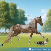 Horse Color:White Spotted Chocolate Palomino Mushroom Tobiano 