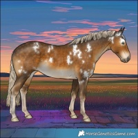 Horse Color:White Spotted Chocolate Palomino Mushroom Rabicano