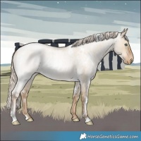 Horse Color:White Spotted Chocolate Palomino Roan Pearl Dun