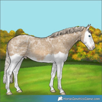 Horse Color:Chocolate Palomino Ice Dun Splash 