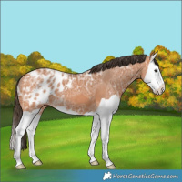 Horse Color:Bay Ice Splash Blanket