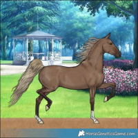 Horse Color:Liver Red Dun 