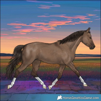 Horse Color:Liver Red Dun