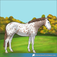 Horse Color:Chestnut Ice Splash Blanket 