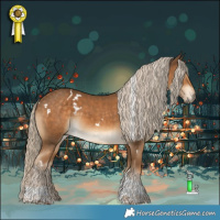 Horse Color:White Spotted Chocolate Palomino Tobiano 