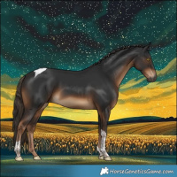 Horse Color:Gray White Spotted Liver Chestnut Tobiano