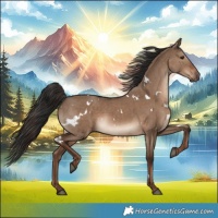 Horse Color:White Spotted Liver Red Dun Rabicano  and White Spotted Liver Red Dun Rabicano 