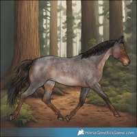 Horse Color:Liver Red Roan 