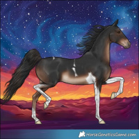 Horse Color:Liver Chestnut Tobiano 