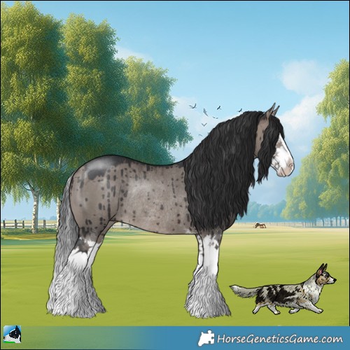 Horse Color:Brown Dun Mushroom Sabino Splash Rabicano Brindle 