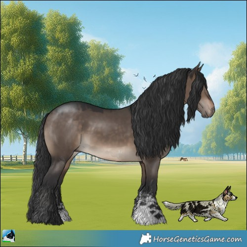 Horse Color:Brown Dun Sabino Rabicano 