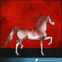 Horse Color:Plaid  Liver Red Onyx Tobiano 