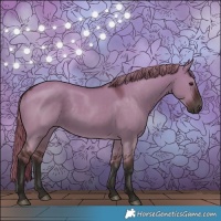 Horse Color:White Spotted Liver Red Dun Rabicano 