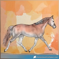 Horse Color:Plaid Chocolate Palomino Onyx Tobiano