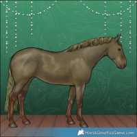 Horse Color:White Spotted Liver Red Dun Rabicano 