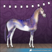 Horse Color:Plaid  Liver Red Onyx Tobiano 