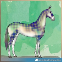 Horse Color:Plaid  Liver Red Onyx Tobiano 