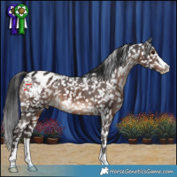Horse Color:Brown Snowflake Varnish 