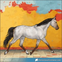 Horse Color:Liver Red Dun Roan 