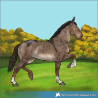 Horse Color:Liver Red Dun Tobiano Brindle
