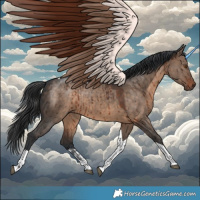 Horse Color:Brown Dun Tobiano Brindle