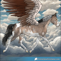 Horse Color:Brown Dun Sabino Tobiano