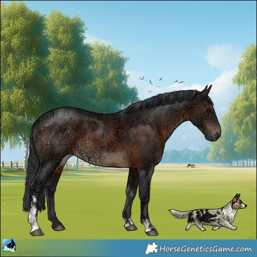Horse Color:Brown Ice Sabino