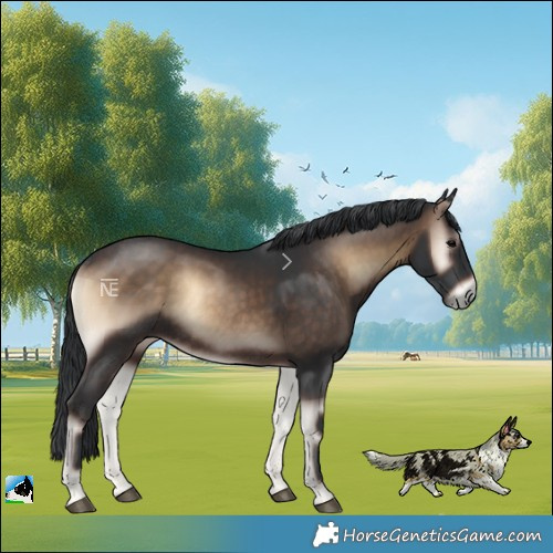 Horse Color:Brown Onyx Rabicano 