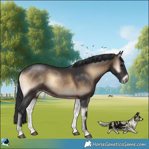 Horse Color:Brown Onyx Rabicano 